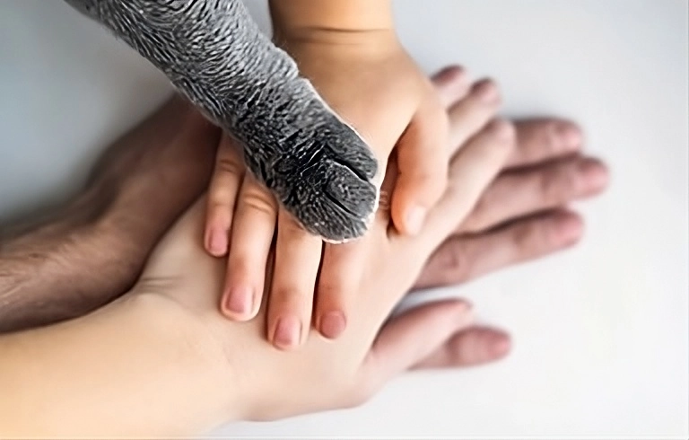 تبني ألفة لمفهوم الصحة الواحدة